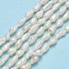Natural Cultured Freshwater Pearl Beads Strands PEAR-J006-05A-2