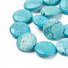 Natural Magnesite Beads Strands TURQ-P027-85-20MM-3