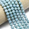 Natural Malaysia Jade Beads Strands G-L645-A01-12mm-25-3