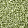 MIYUKI Round Rocailles Beads SEED-X0054-RR0378-3