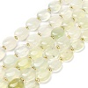 Natural New Jade Beads Strands G-H005-A07-02-1