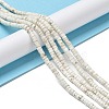 Natural Howlite Beads Strands X-G-E604-A01-B-2