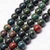 Natural Indian Bloodstone Beads Strands G-G735-33-6mm-1