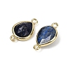Dyed Natural Lapis Lazuli Faceted Connector Charms G-L514-048P-11-2