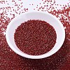 MIYUKI Delica Beads SEED-X0054-DB0295-2