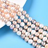 Natural Cultured Freshwater Pearl Beads Strands PEAR-T003-10D-1