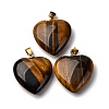 Natural Tiger Eye Pendants G-G287-01G-06-1