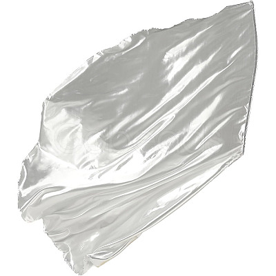 Polyester Flag AJEW-WH0248-558A-1