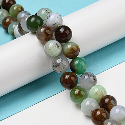 Natural Serpentine Beads Strands G-R494-A03-04-1