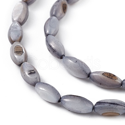 Natural Freshwater Shell Dyed Beads Strands SHEL-M018-13-04-1