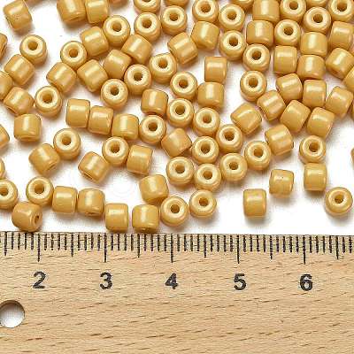 Baking Paint Pearlized Glass Seed Beads SEED-C001-04A-14-1