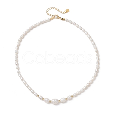Natural Cultured Freshwater Pearl Necklaces for Women NJEW-JN05940-1
