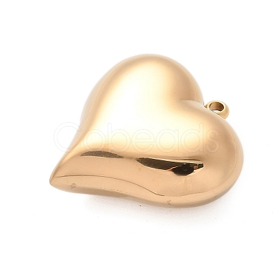 304 Stainless Steel Pendants X-STAS-Q349-02D-G-1