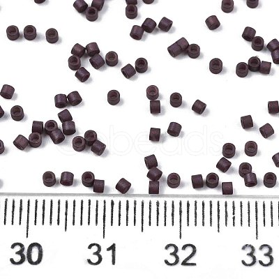 FGB 11/0 Grade A Glass Seed Beads SEED-S030-1015-1
