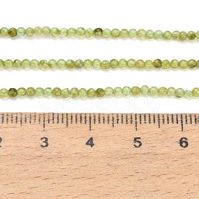 Natural Peridot Beads Strands G-A322-A07-2mm-1