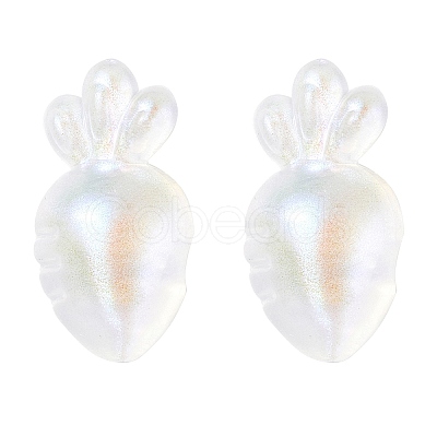 Transparent Acrylic Pendants OACR-P007-41-1