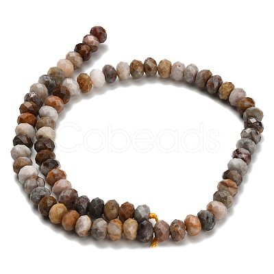 Natural Gobi Agate Beads Strands G-Z111-A55-1