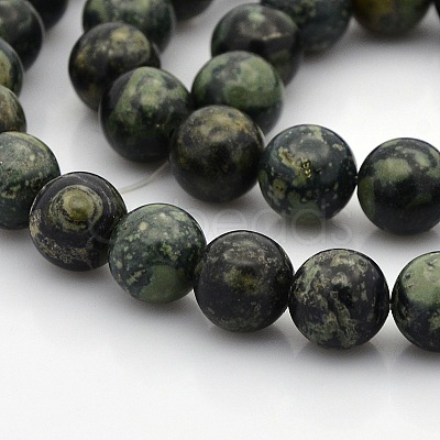 Natural Kambaba Jasper Beads Strands G-N0120-09-8mm-1