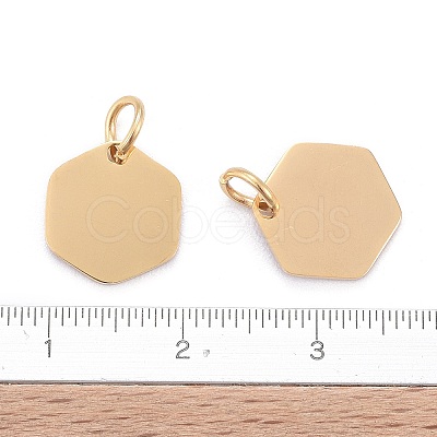 201 Stainless Steel Charms LS-STAS-S105-T626-2-1