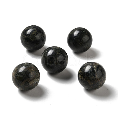 Natural Kambaba Jasper Beads G-A206-02-19-1