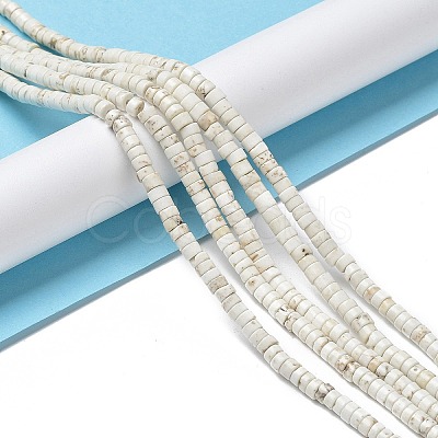 Natural Howlite Beads Strands X-G-E604-A01-B-1