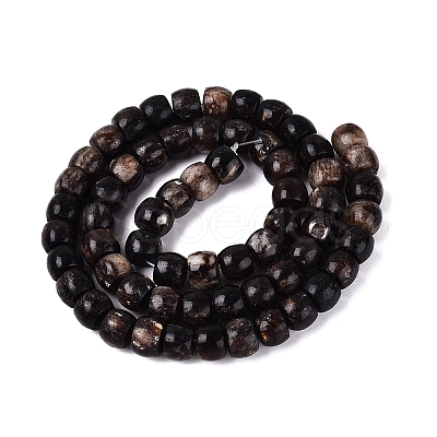 Natural Biotite Beads Strands G-Q616-02A-11-1