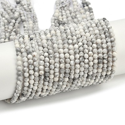 Natural Howlite Beads Strands G-C181-B03-01-1