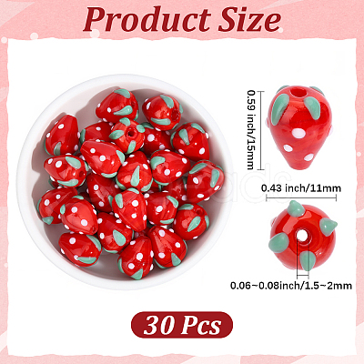 30Pcs Lampwork Beads LAMP-PA0001-53-1