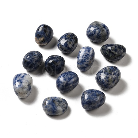 Natural Blue Spot Jasper Beads G-G979-A18-1