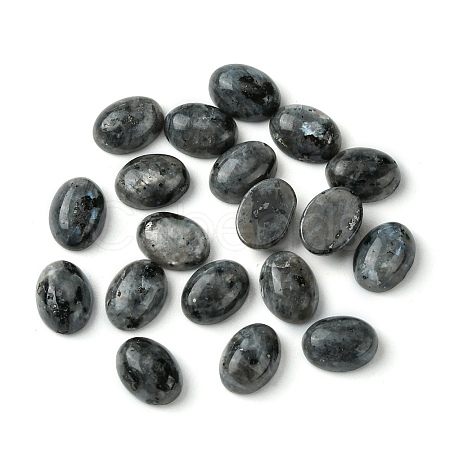 Natural Larvikite Cabochons G-A094-01B-07-1
