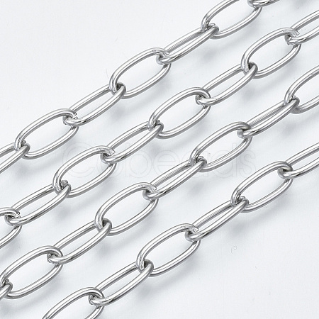 Non-Tarnish 3.28 Feet 304 Stainless Steel Paperclip Chains X-CHS-S001-06A-P-1