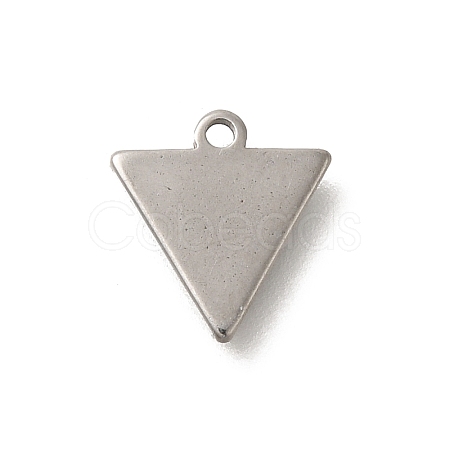 304 Stainless Steel Charms STAS-S144-01P-D-1