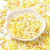6/0 Opaque Baking Paint Glass Seed Beads SEED-M012-02A-28-2
