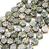 Natural Green Spot Jasper Beads Strands G-F833-B05-01-2