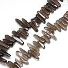 Natural Smoky Quartz Beads Strands G-R835-10-1