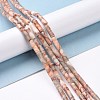 Natural Red Netstone Beads Strands X-G-F247-51-4
