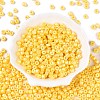 Baking Paint Pearlized Glass Seed Beads SEED-T008-03D-2