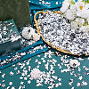 150g PET Plastic Star Confetti DIY-HY0003-66B-4