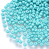 12/0 Baking Paint Glass Round Seed Beads SEED-S036-01A-13-1