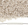TOHO 6/0 Demi Round Beads Y-SEED-DR06-PF21F-5