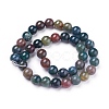 Natural Indian Agate Round Beads Strands G-N0120-06-10mm-2
