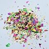 Plastic Candy Sequins/Paillette Chip X-DIY-I019-01N-2