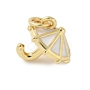Brass Enamel Charms KK-C110-30G-01-2