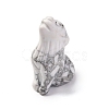 Natural Howlite Display Decorations DJEW-P019-A15-2