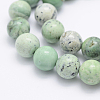 Natural Green Grass Jasper Beads Strands G-J373-03-9.5mm-2