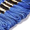 10 Skeins 6-Ply Polyester Embroidery Floss OCOR-K006-A21-2