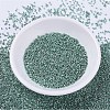 MIYUKI Delica Beads SEED-MY11-DB0416-2