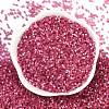 Imitation Cat Eyes Glass Seed Beads SEED-H003-03X-3