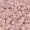 Glass Seed Beads SEED-H002-H-1310-3