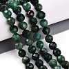 Natural Fuchsite Beads Strands G-T140-20B-2